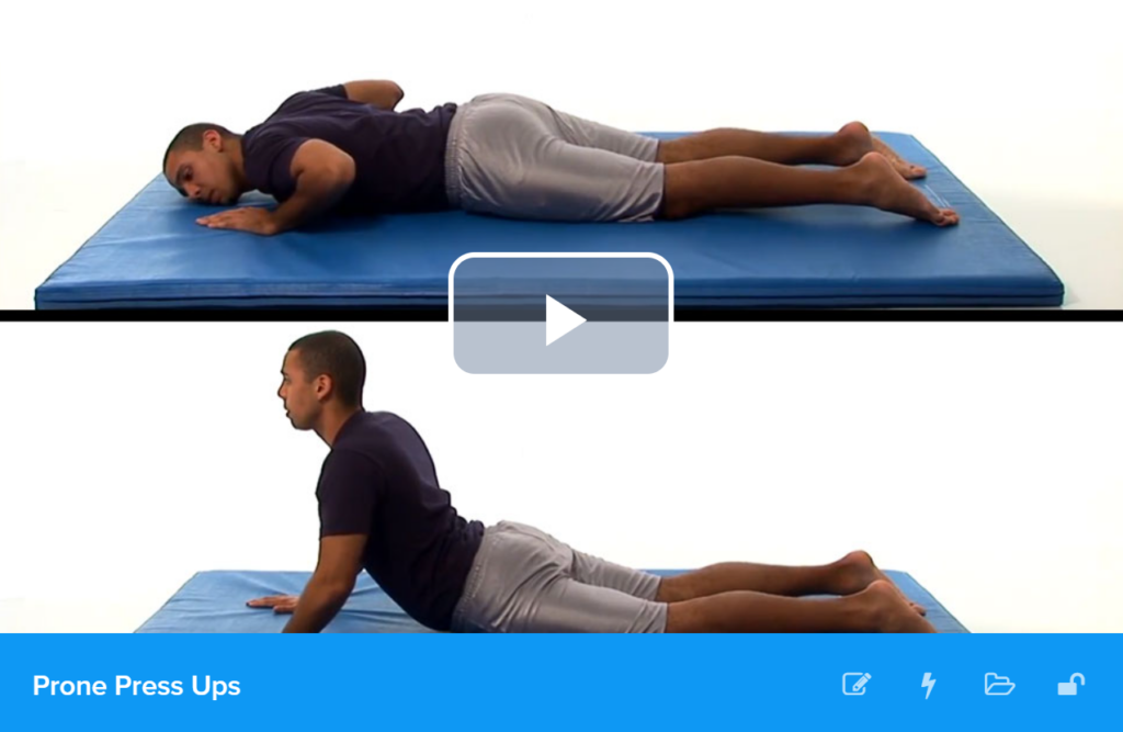 physical therapy home exercises video